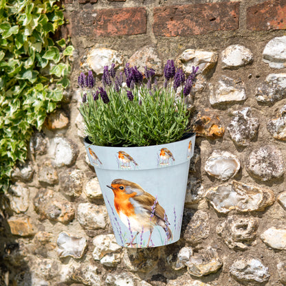 Zest Wall Pot - Robin