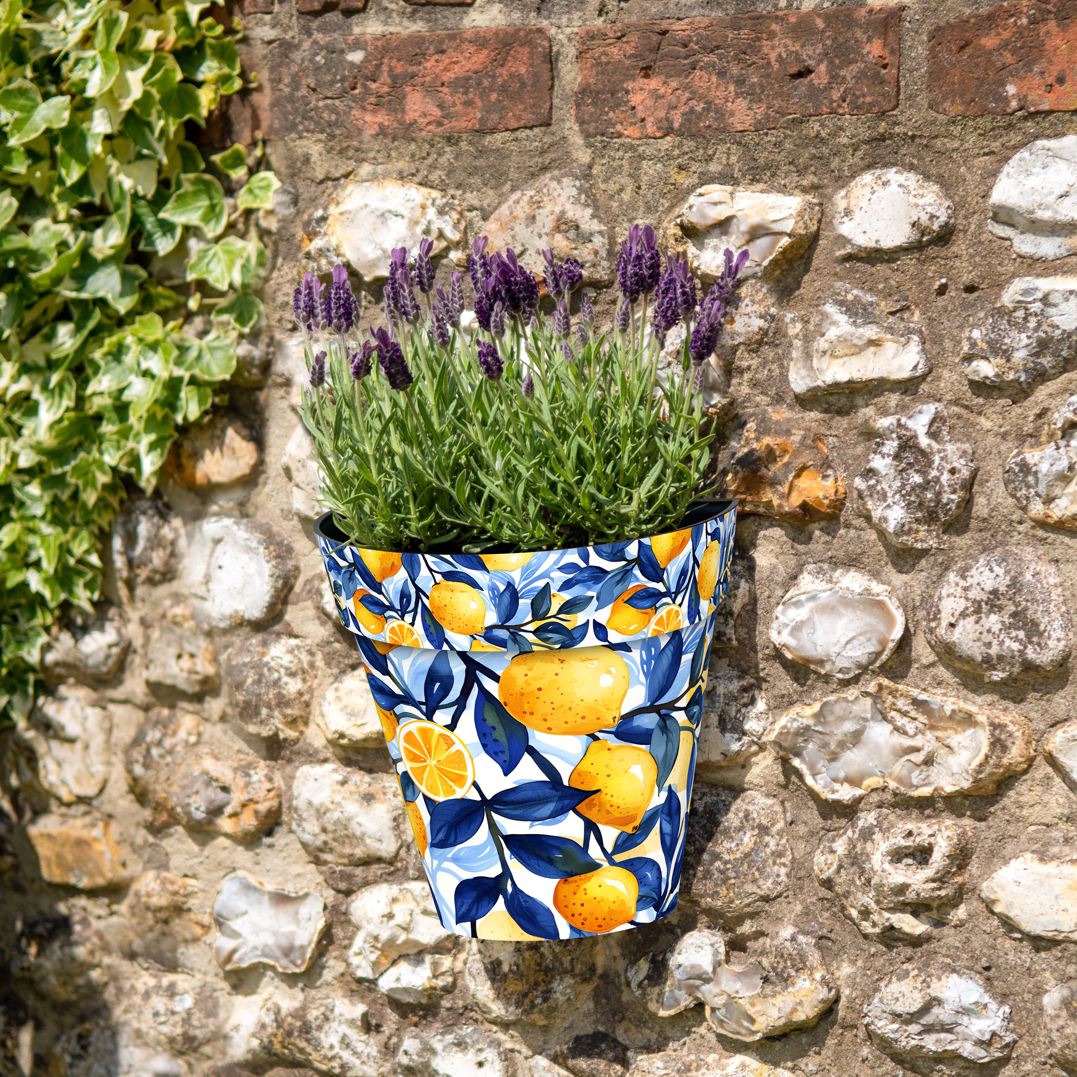Zest Wall Pot - Marbella