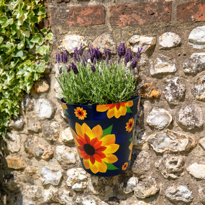 Zest Wall Pot - Sunflower