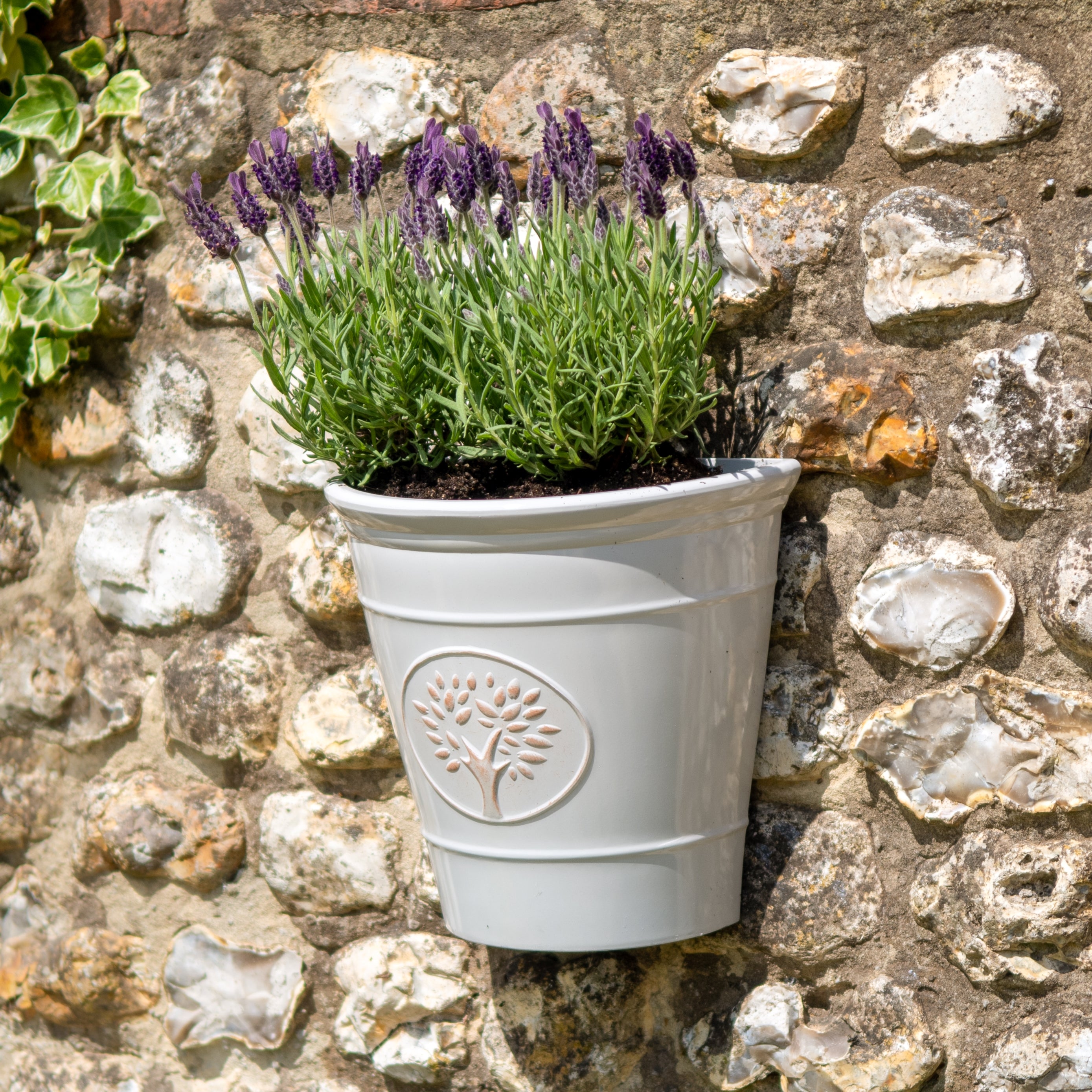 Blenheim Wall Planter - Off White
