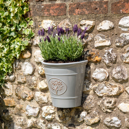 Blenheim Wall Planter - Grey
