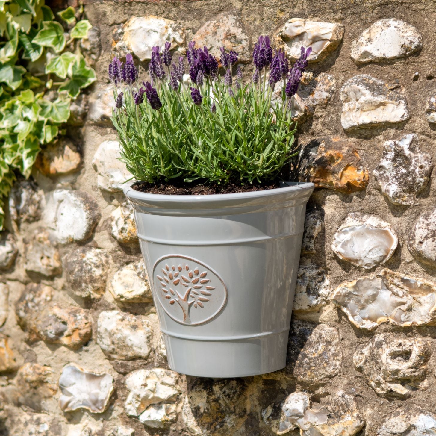 Blenheim Wall Planter - Grey
