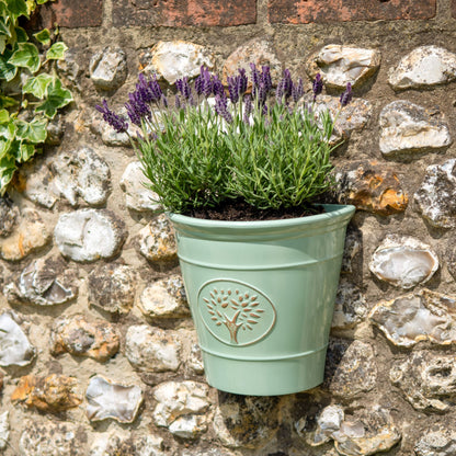 Blenheim Wall Planter - Green