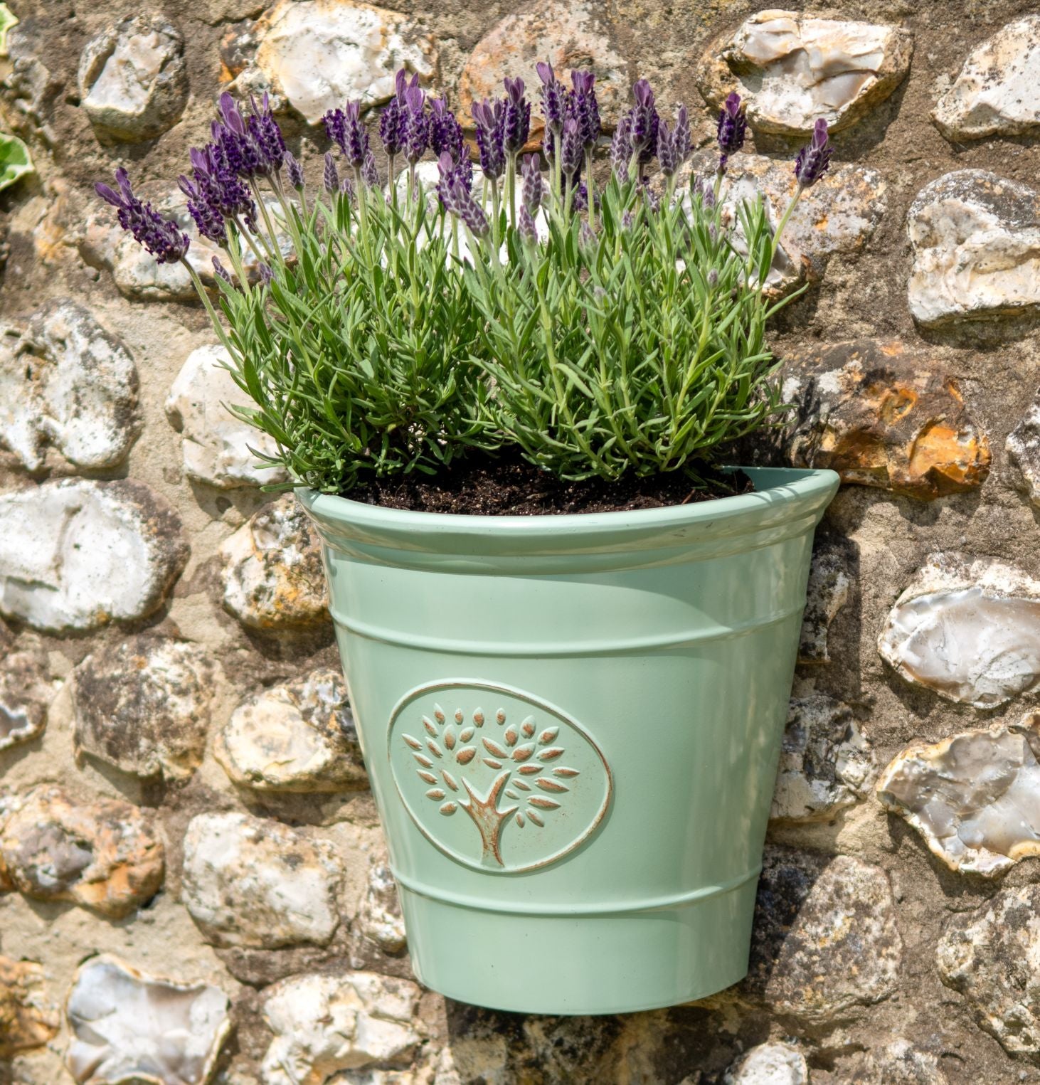 Blenheim Wall Planter - Green