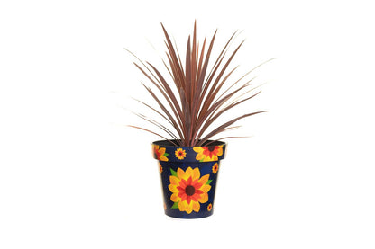 30cm Zest Outdoor Garden Pot - Sunflower
