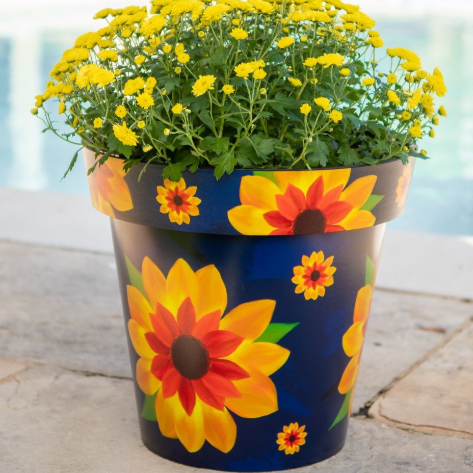 15cm Zest Indoor Garden Pot - Sunflower