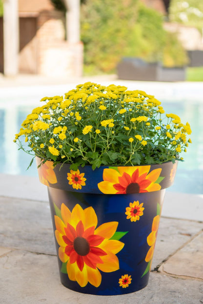 30cm Zest Outdoor Garden Pot - Sunflower