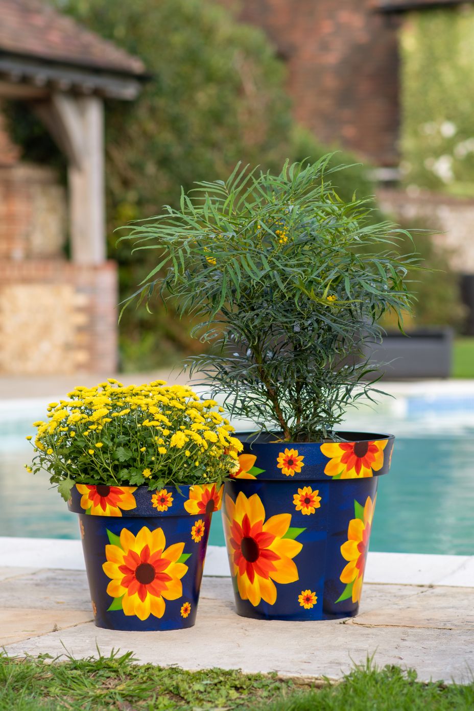 15cm Zest Indoor Garden Pot - Sunflower