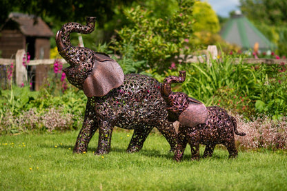 Bronze Elephant Sculpture - Small